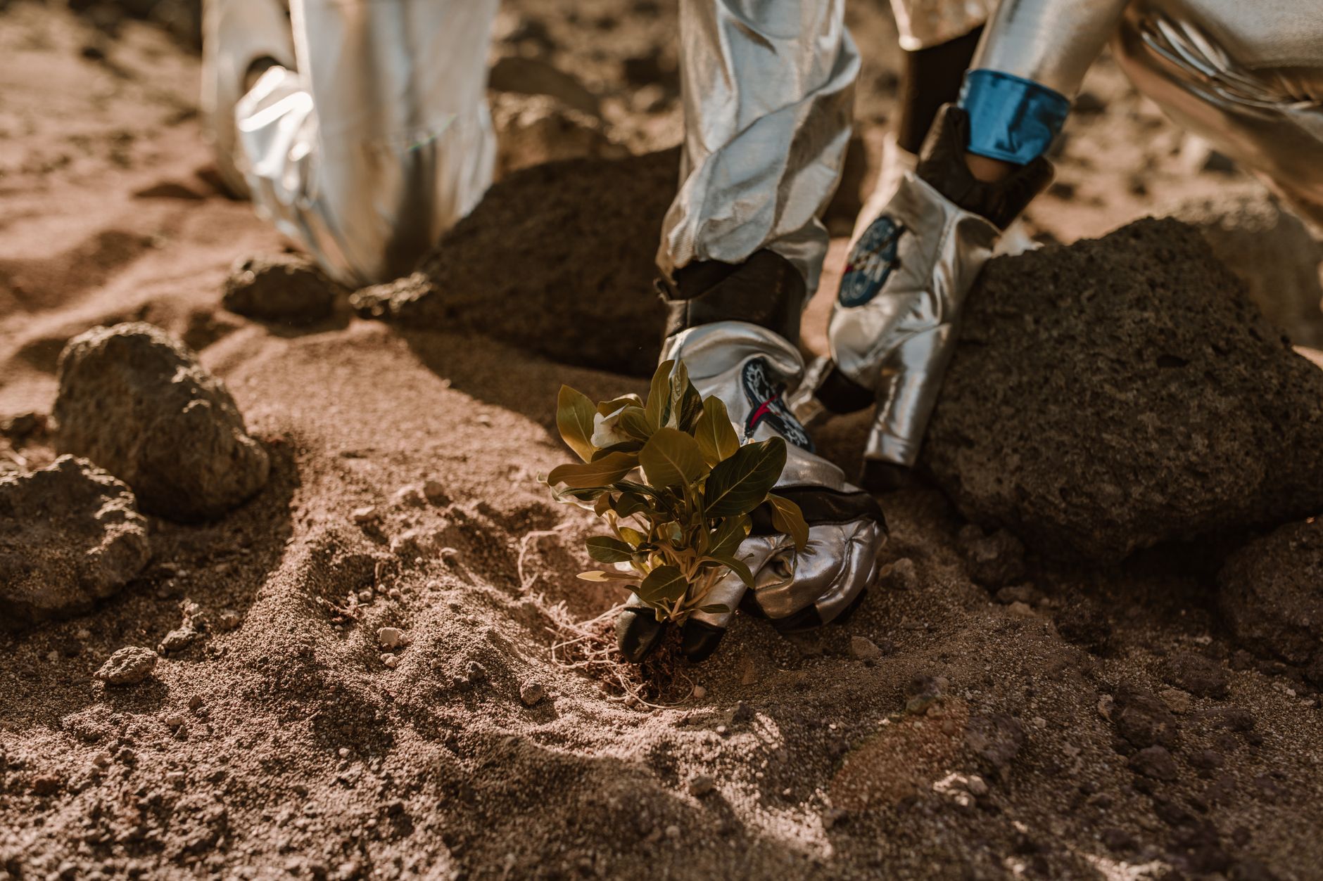 A serene image of an astronaut in a futuristic biodome on Mars, tending to hydroponic plants, symbolizing the application of advanced health management in extraterrestrial environments.
