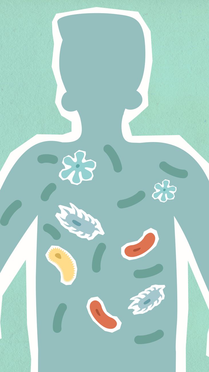 A vibrant, microscopic view of diverse bacteria and other microorganisms, illustrating the complexity of the human microbiome.