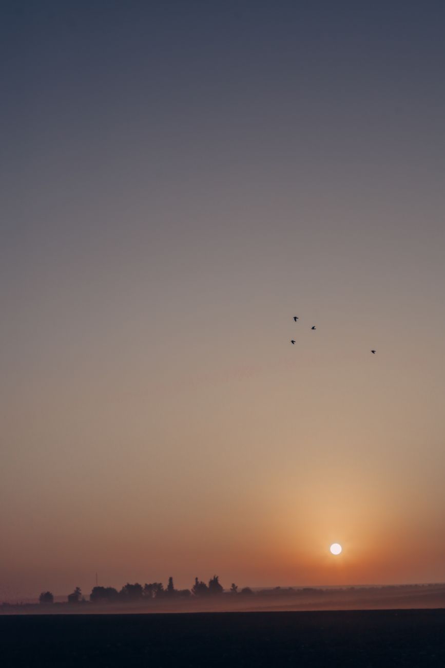 A serene landscape at dawn, symbolizing new beginnings and a bright future for health, with a subtle overlay of data points and network connections.